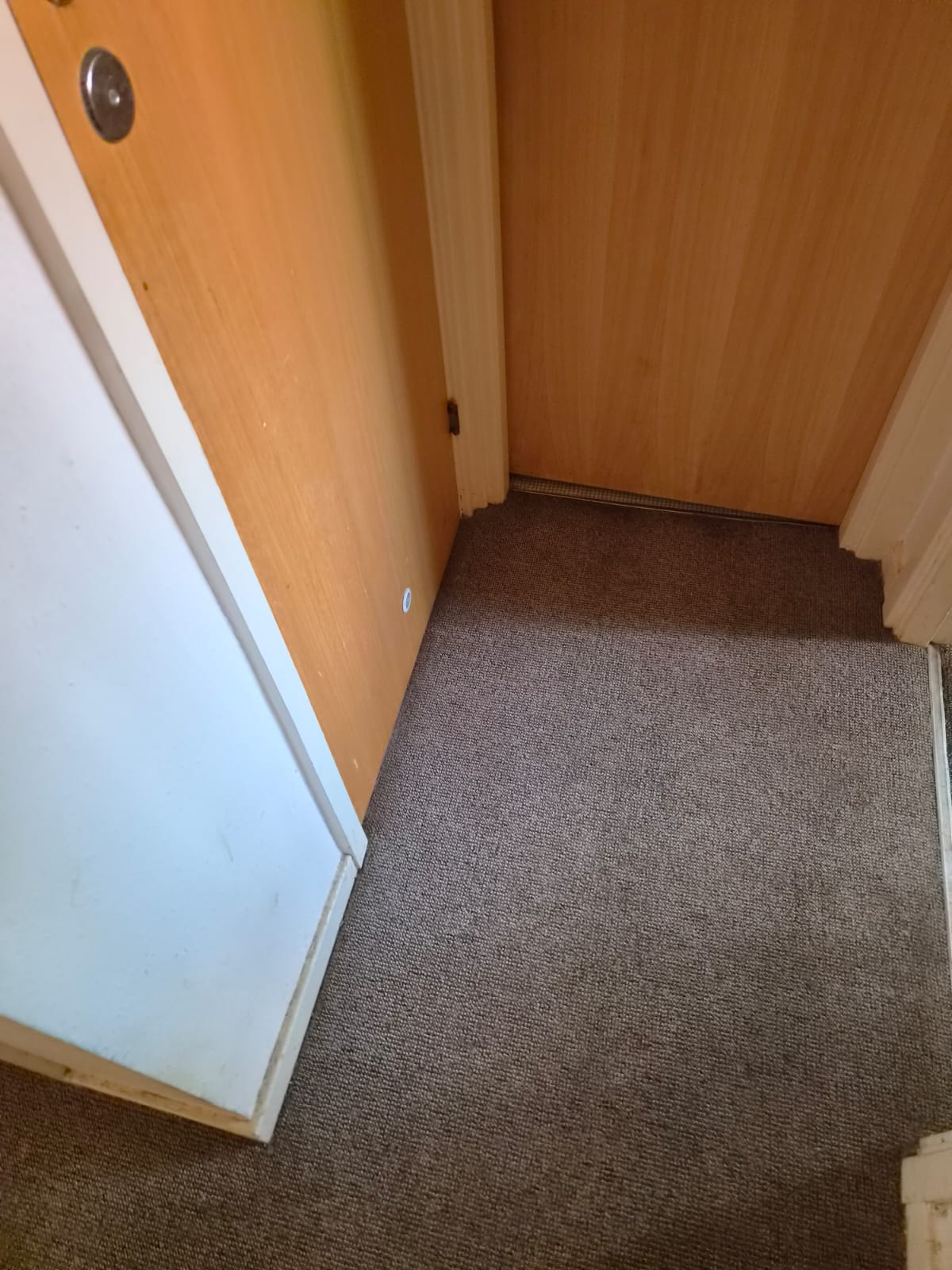 Pristine Carpet Turnout